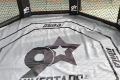 Cage Octogonale MMA Ninestars 9 Cage Octogonale MMA Ninestars -Martiaux Boutique cage octogonale mma ninestars au sol 3
