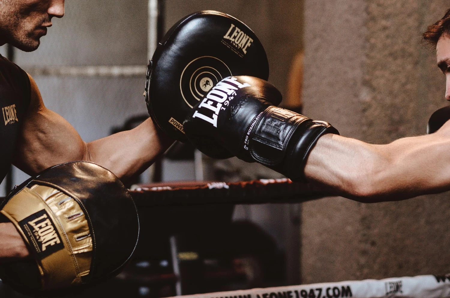 Pattes D'ours AIR - Power Line, Leone 4 Pattes D'ours AIR - Power Line, Leone – Image 2