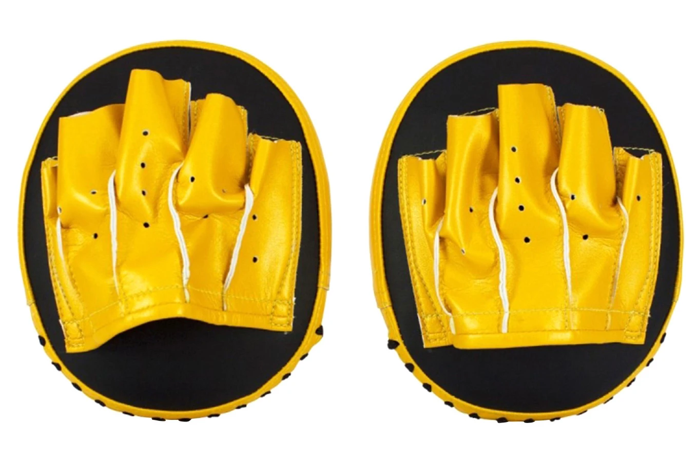 Pattes D'ours - Paraboliques, Fairtex 6 Pattes D'ours - Paraboliques, Fairtex – Image 4