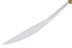 Sabre Bagua Jian Wang - Semi Flexible/flexible -Martiaux Boutique sabre bagua jian wang 2